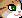 cat2.gif